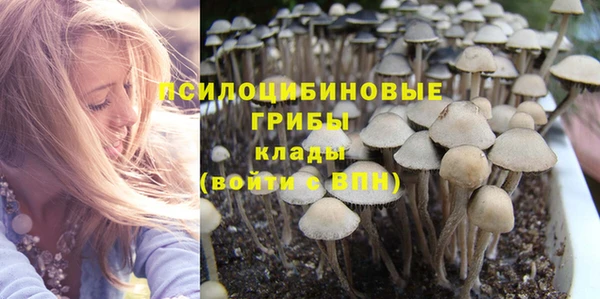 МДПВ Верхнеуральск