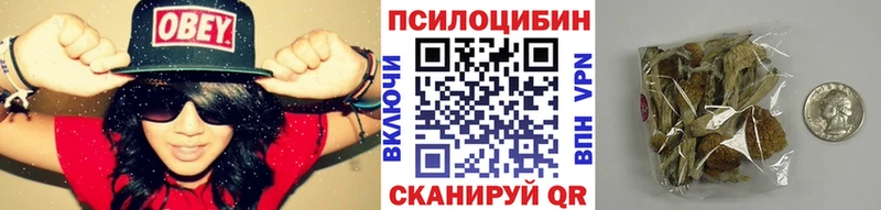 Псилоцибиновые грибы Psilocybine cubensis  сколько стоит  Калязин 